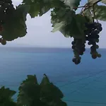 Blue View