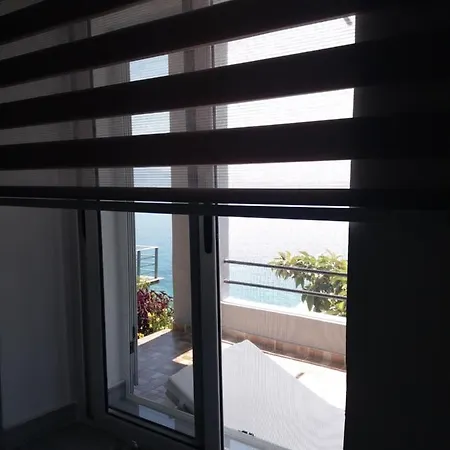 Blue View Guest house *