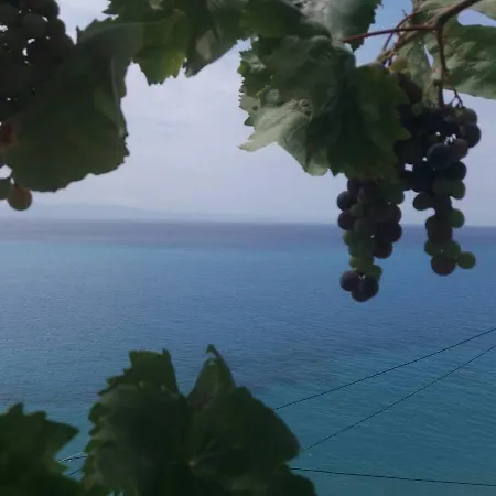 Blue View