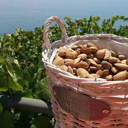 Affittacamere Blue View Qeparo