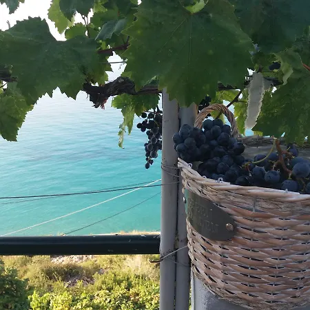 Blue View Πανσιόν
