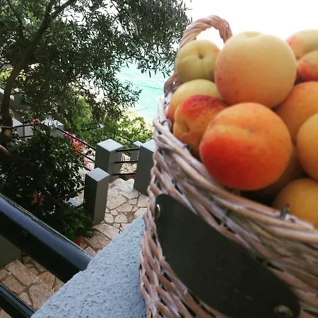 Guest house Blue View *
