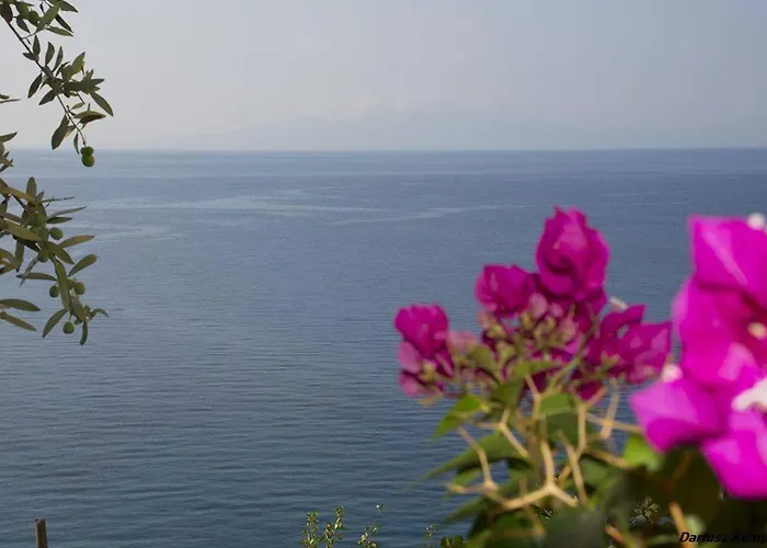 Blue View Penzion Qëparo