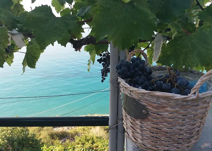 Blue View בית הארחה