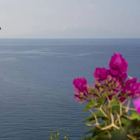 Blue View Gæstehus Qeparo