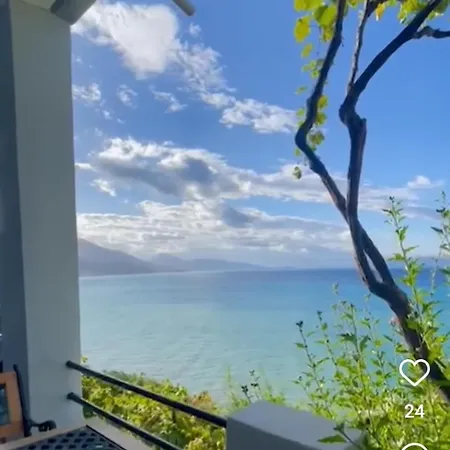 Blue View *