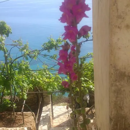 Blue View בית הארחה 3*