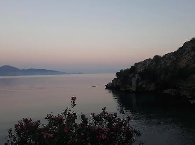 게스트하우스 Blue View